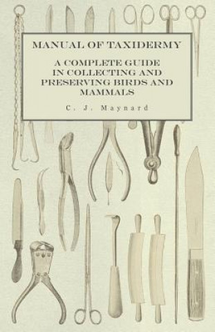 Book Manual of Taxidermy - A Complete Guide in Collecting and Preserving Birds and Mammals C. J. Maynard