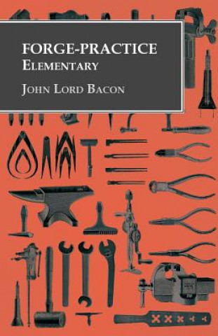 Kniha Forge-Practice - Elementary John Lord Bacon