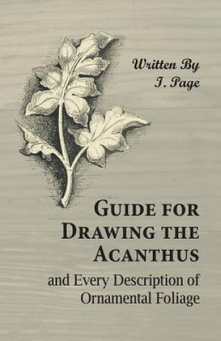 Книга Guide for Drawing the Acanthus, and Every Description of Ornamental Foliage I. Page