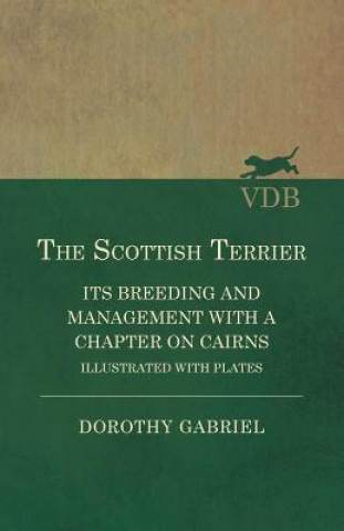 Book Scottish Terrier - It's Breeding and Management with a Chapter on Cairns - Illustrated with Plates Dorothy Gabriel