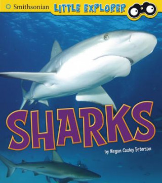 Carte Sharks Megan Cooley Peterson