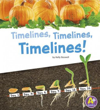 Kniha Timelines, Timelines, Timelines! Kelly Boswell