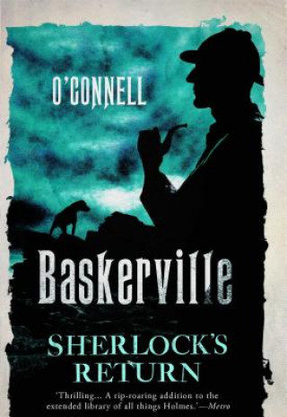 Buch Baskerville: The Mysterious Tale of Sherlock's Return John O'Connell