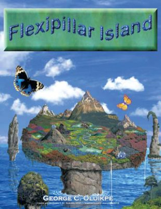 Kniha Flexipillar Island George C. Oluikpe