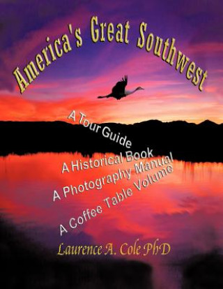 Kniha America's Great Southwest Laurence Cole Phd