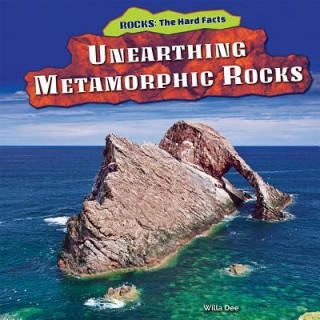 Knjiga Unearthing Metamorphic Rocks Willa Dee