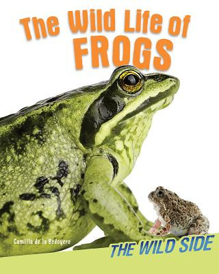 Książka The Wild Life of Frogs Camilla De La Bedoyere