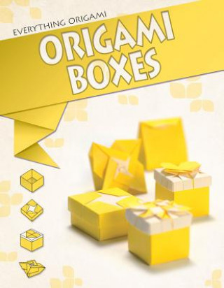 Knjiga Origami Boxes Matthew Gardiner