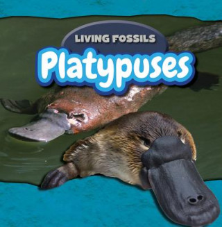 Knjiga Platypuses Caitie McAneney