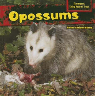 Knjiga Opossums Emma Carlson Berne