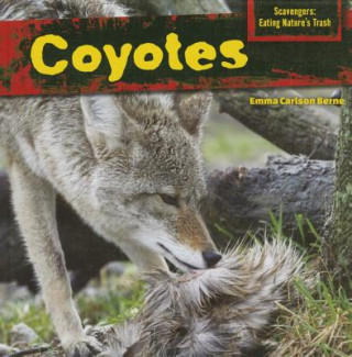 Knjiga Coyotes Emma Carlson Berne