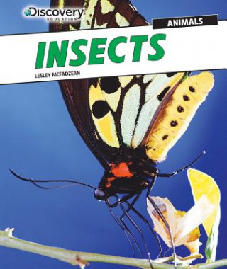 Knjiga Insects Lesley McFadzean