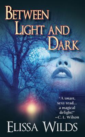 Könyv BETWEEN LIGHT & DARK Elissa Wilds