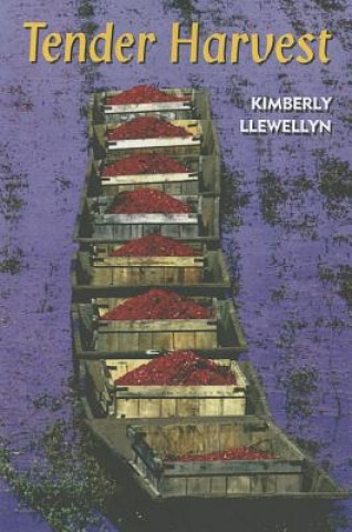 Kniha Tender Harvest Kimberly Llewellyn