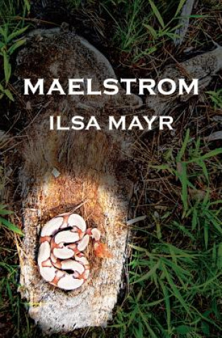 Carte Maelstrom Ilsa Mayr