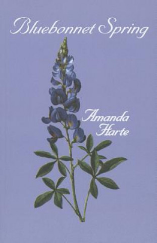 Könyv Bluebonnet Spring Amanda Harte