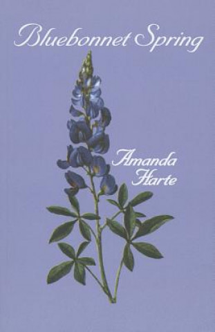 Kniha Bluebonnet Spring Amanda Harte