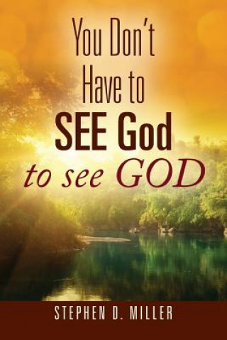 Carte You Don't Have to SEE God to see GOD Stephen D. Miller