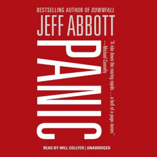 Audio Panic Jeff Abbott