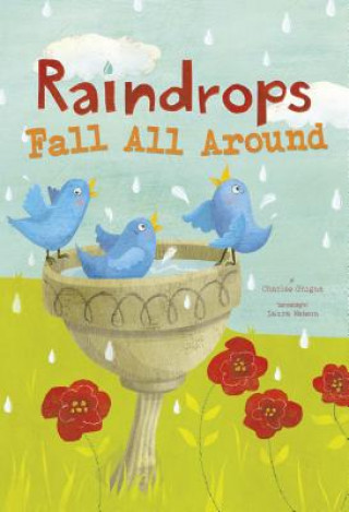 Book Raindrops Fall All Around Charles Ghigna