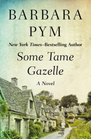 Könyv Some Tame Gazelle Barbara Pym