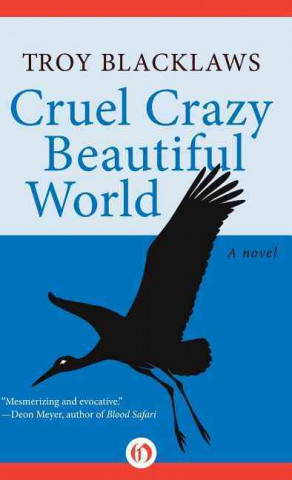 Könyv Cruel Crazy Beautiful World Troy Blacklaws