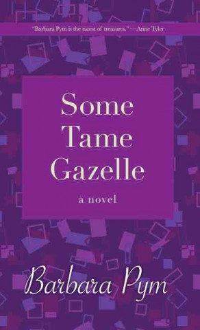 Buch Some Tame Gazelle Barbara Pym