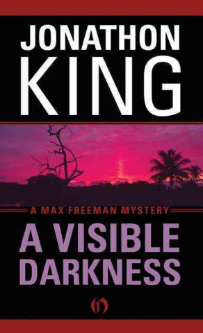 Kniha A Visible Darkness Jonathon King