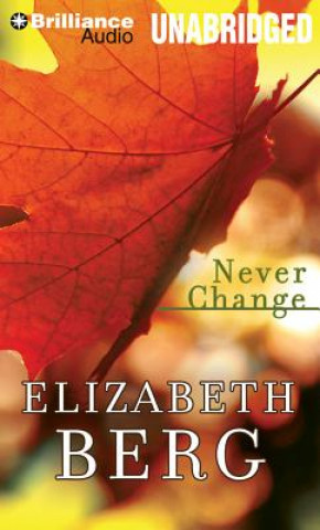 Audio Never Change Elizabeth Berg