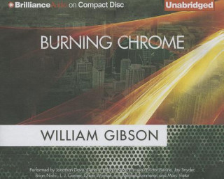 Hanganyagok Burning Chrome William Gibson