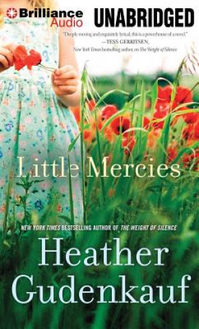 Audio Little Mercies Heather Gudenkauf