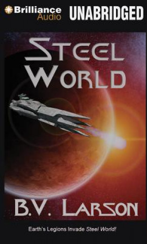 Audio Steel World B. V. Larson