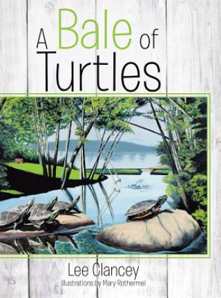 Carte Bale of Turtles Lee Clancey