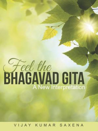 Book Feel the Bhagavad Gita Vijay Kumar Saxena
