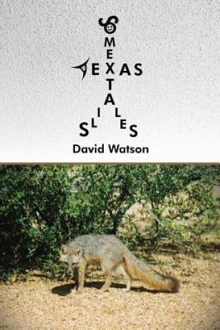 Kniha Some Texas Tails Tales David Watson