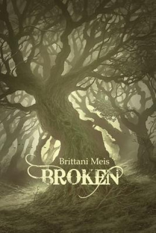 Könyv Broken Brittani Meis