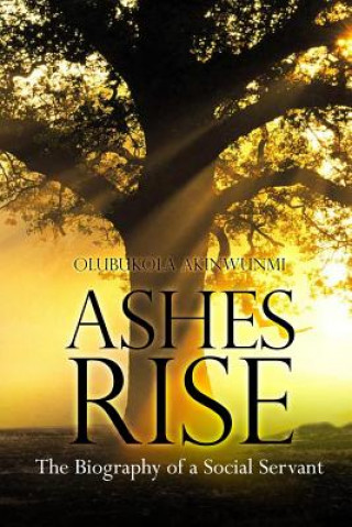 Kniha Ashes Rise: The Biography of a Social Servant Olubukola Akinwunmi