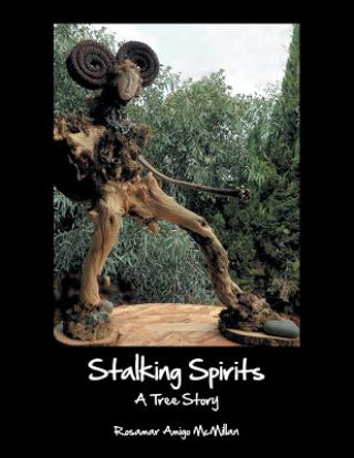 Книга Stalking Spirits Rosamar Amigo McMillan