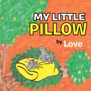 Carte My Little Pillow Robert Love