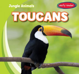 Kniha Toucans Rob Ryndak