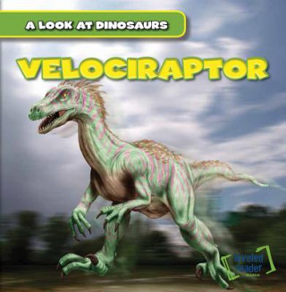 Knjiga Velociraptor Cory Lee