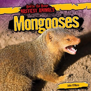 Knjiga Mongooses John O'Mara