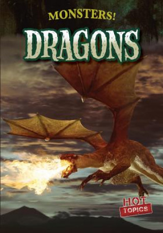 Book Dragons Peter Castellano
