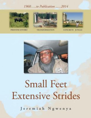 Book Small Feet Extensive Strides Jeremiah Ngwenya