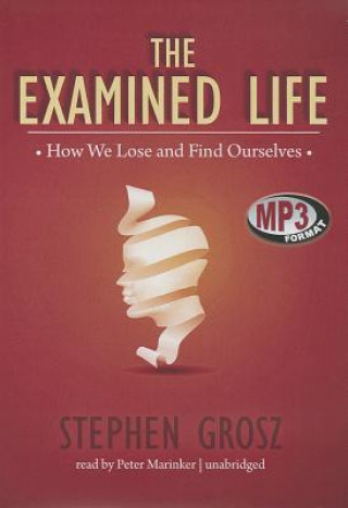 Digital The Examined Life: How We Lose and Find Ourselves Stephen Grosz