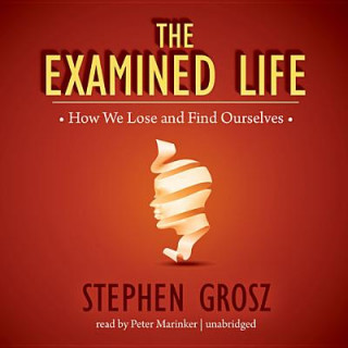 Audio The Examined Life: How We Lose and Find Ourselves Stephen Grosz