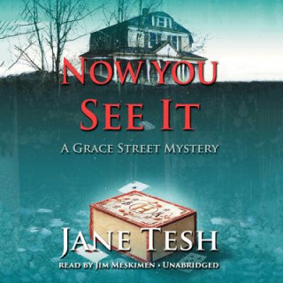 Audio Now You See It: A Grace Street Mystery Jane Tesh