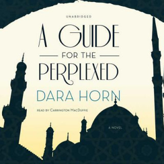 Audio A Guide for the Perplexed Dara Horn