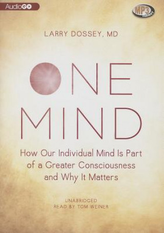 Digital One Mind: How Our Individual Mind Is Part of a Greater Consciousness and Why It Matters Larry Dossey