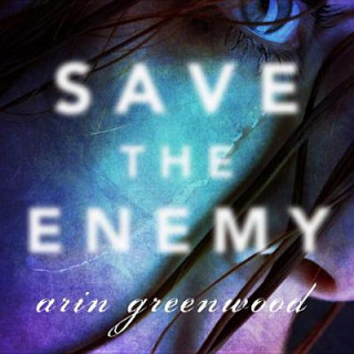 Digital Save the Enemy Arin Greenwood